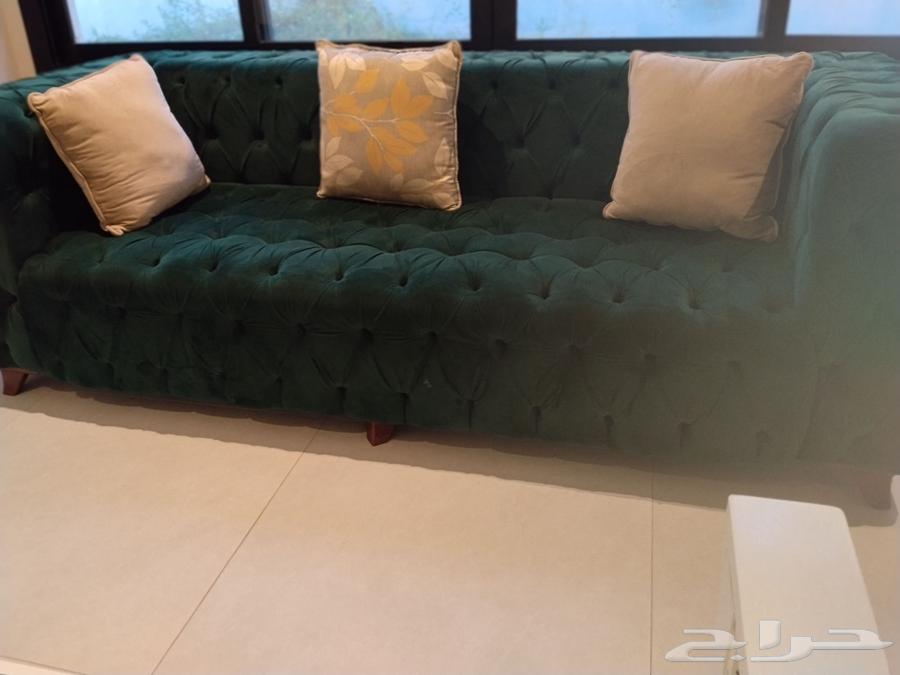 An opportunity you can't miss64416756632834110