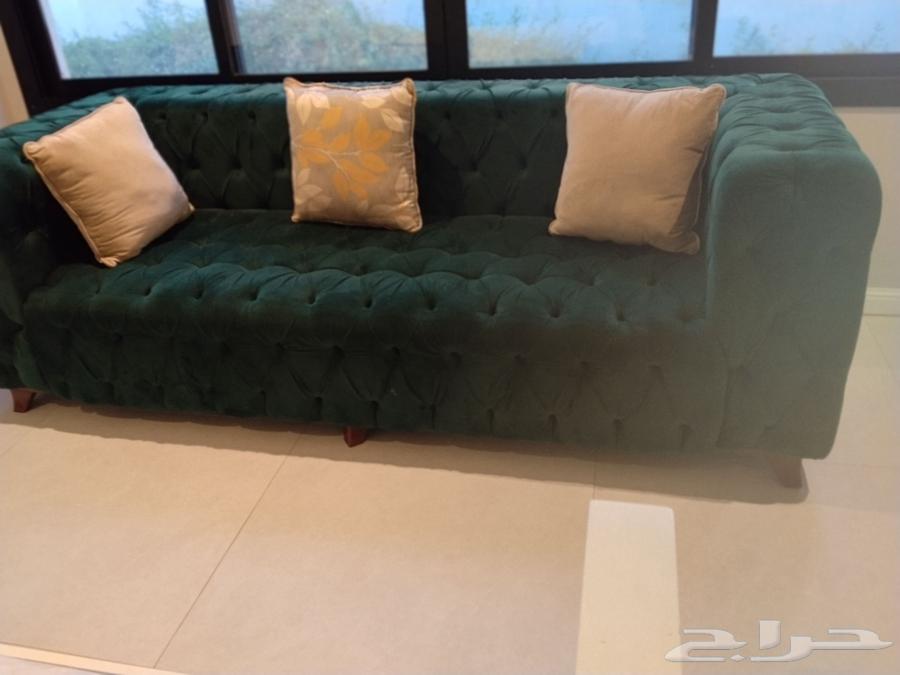 An opportunity you can't miss64416756632834111