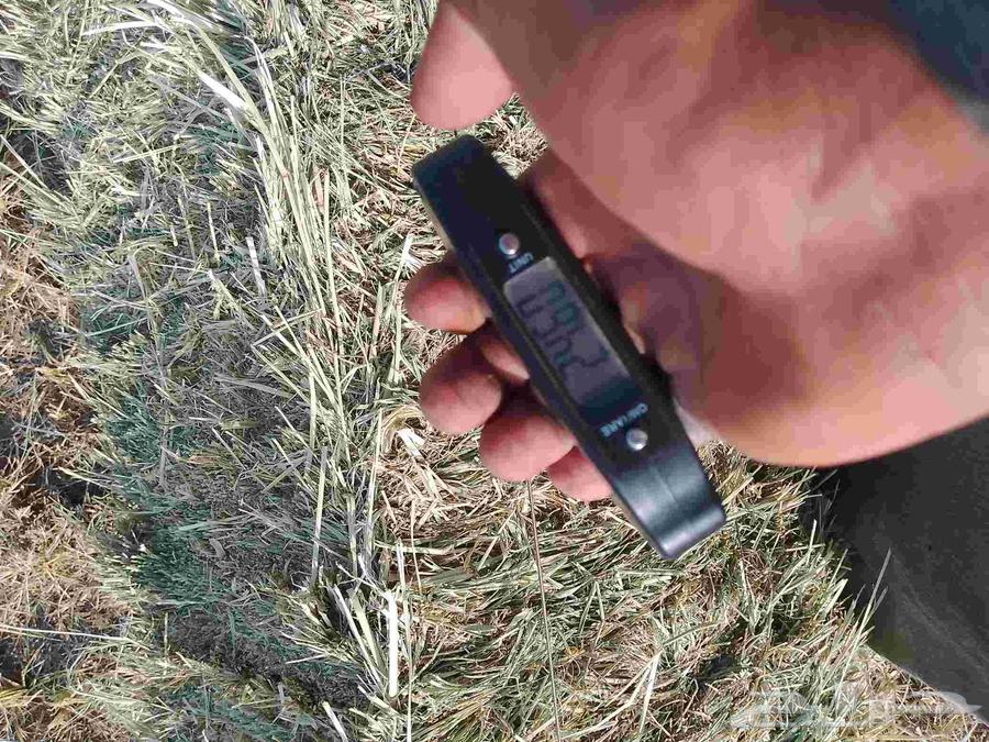 Hello and God's mercy, new soft Rhodes, good 95 gender64417617740289112