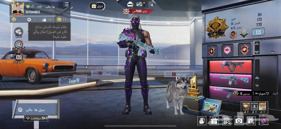 حساب ببجي لفل 7764417292391043110