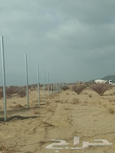 Accepted chain link fences and security fences for farms64373683676291112