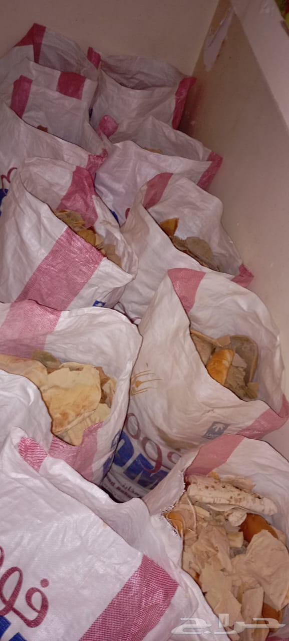 خبز ناشف نظيف64417481626369110