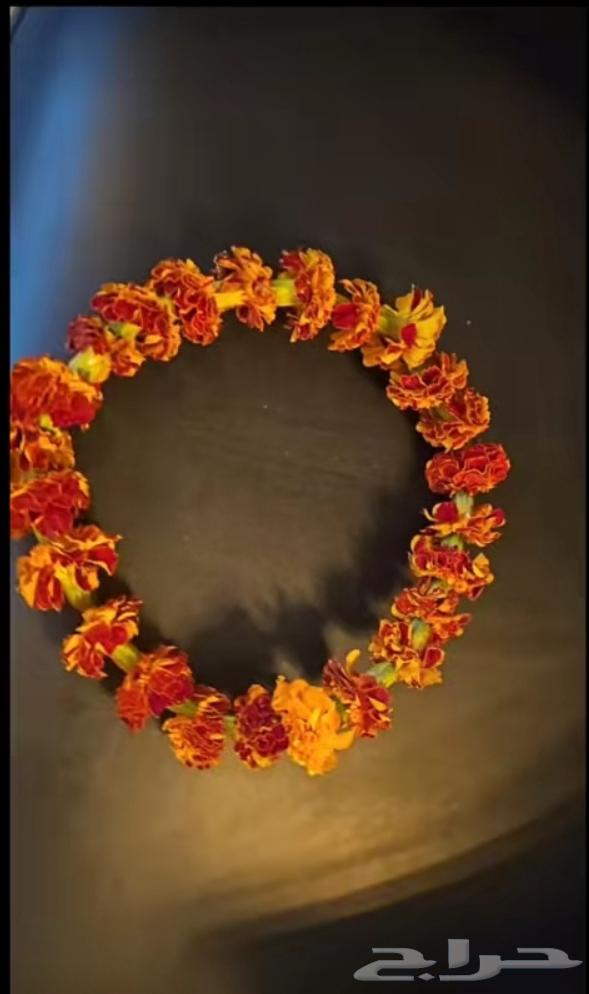 اطواق_فل اطواق_نرجس جنوبي توزيعات_يوم الوطني64413220875138111