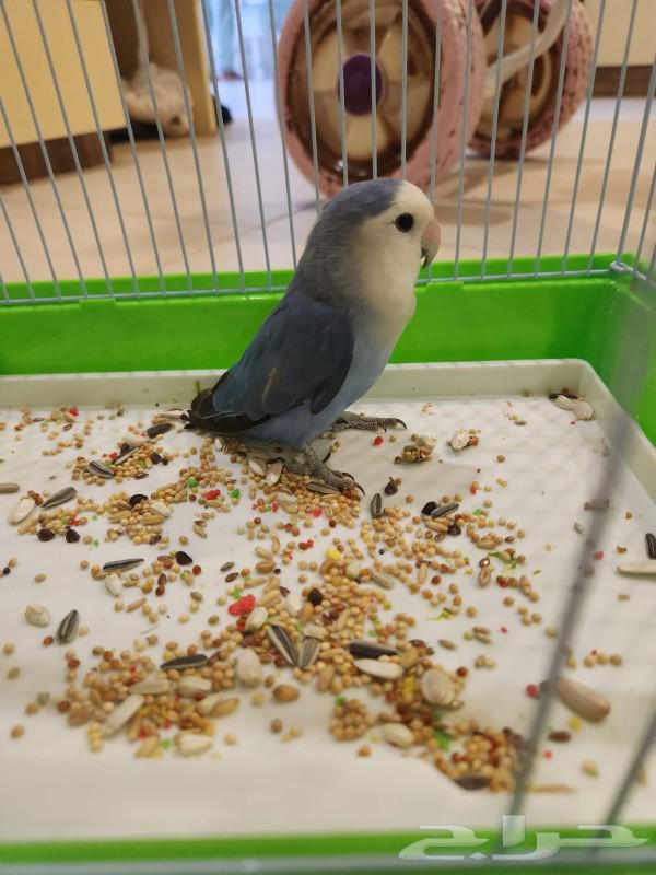 Day64416690269571110