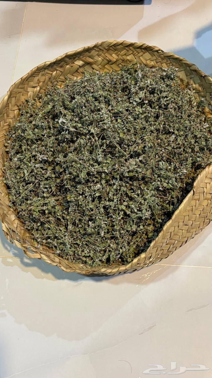 وزاب ( بردقوش ) مجفف للبيع64416636966785111
