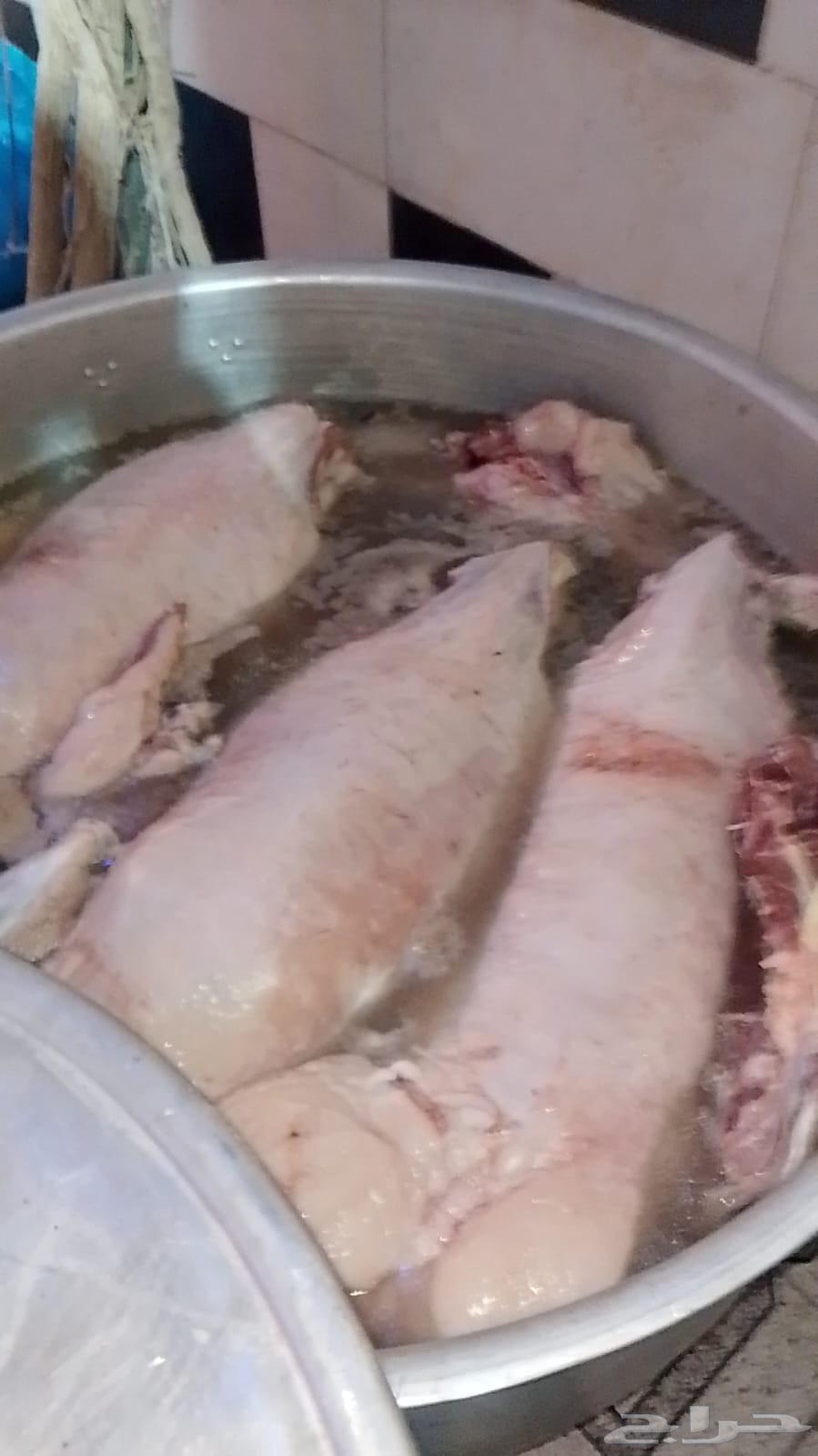 Mobile chef64545644606209112