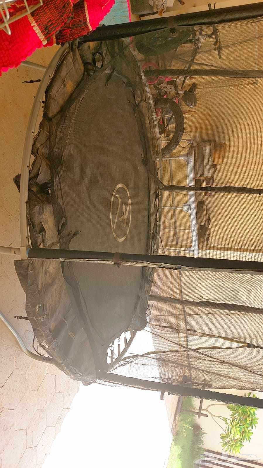 Clean carpet64416756580865110