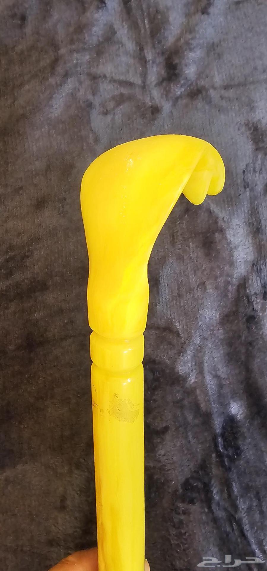 Cane for occasions64416426983938110