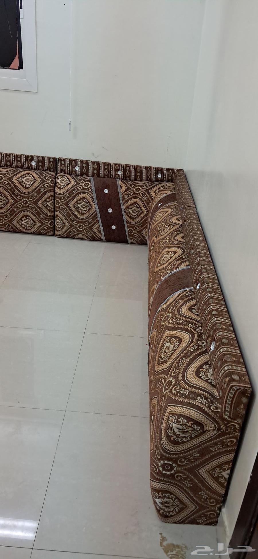 مساند ضهر اخو الجديد سعر بلاش 150 ريال من الاخر64416928229505111