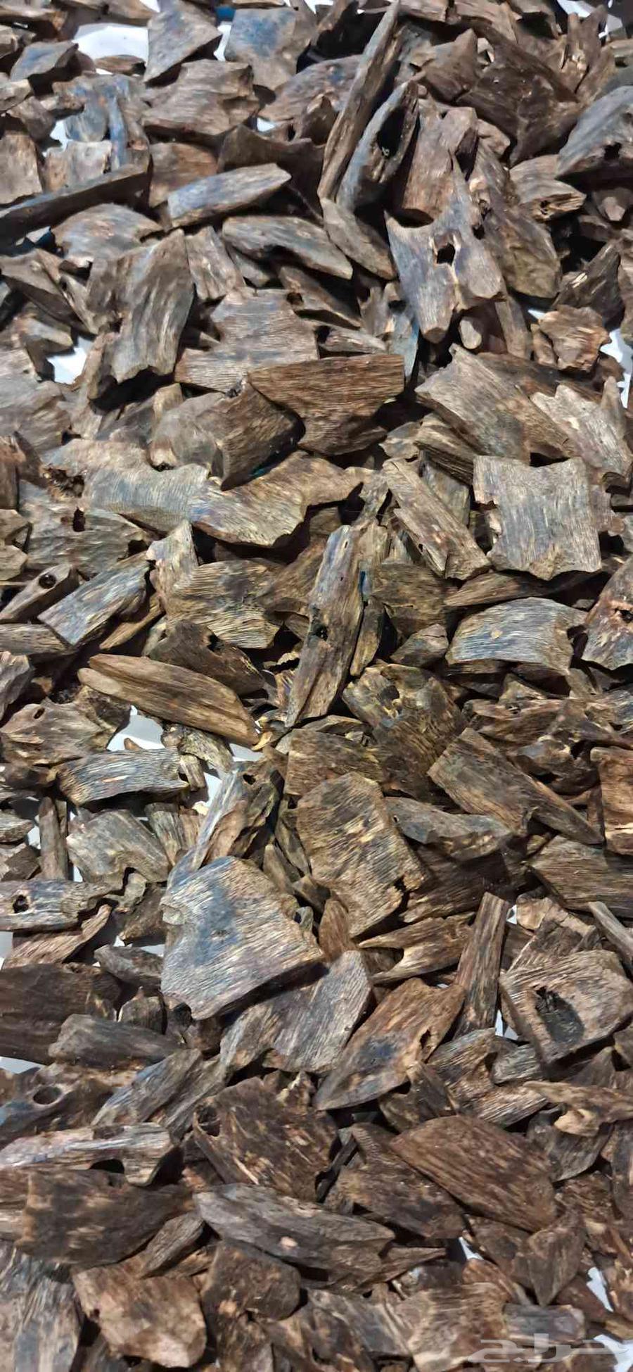 عود كينام الطبيعي الفاخر دبل سوبر مرتفع اوقيه 65 ريال64413639574274111