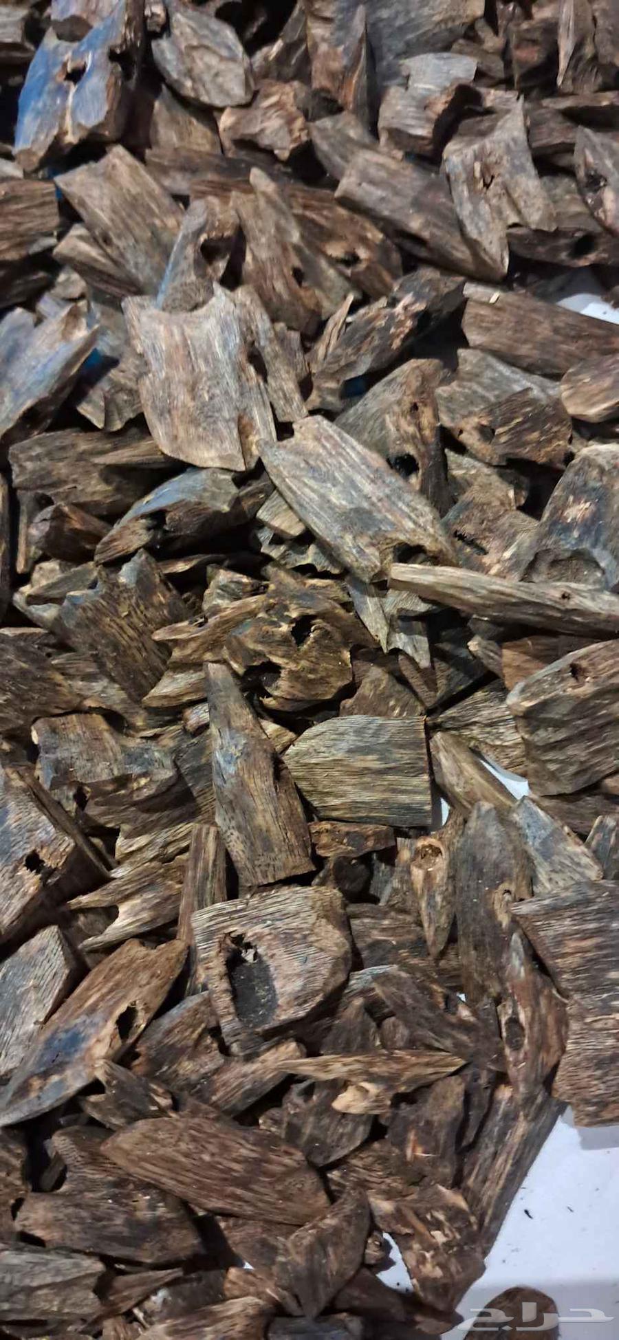 عود كينام الطبيعي الفاخر دبل سوبر مرتفع اوقيه 65 ريال64413639574274110