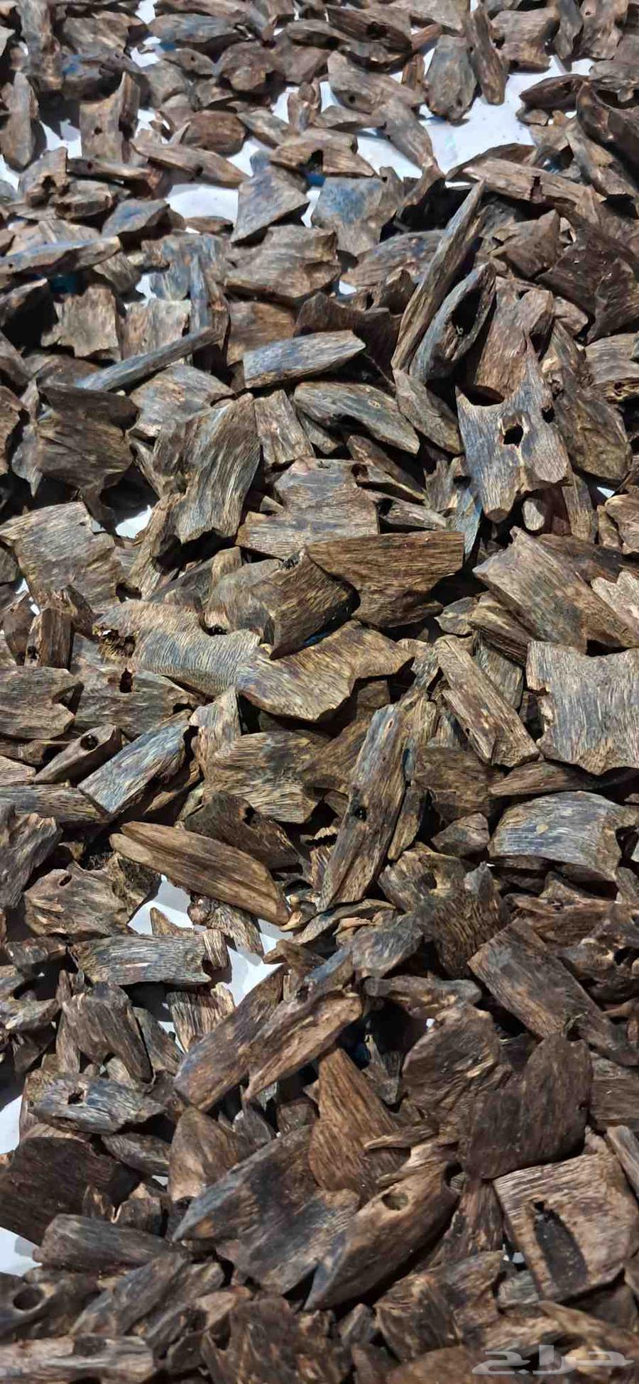 عود كينام الطبيعي الفاخر دبل سوبر مرتفع اوقيه 65 ريال64413639574274112