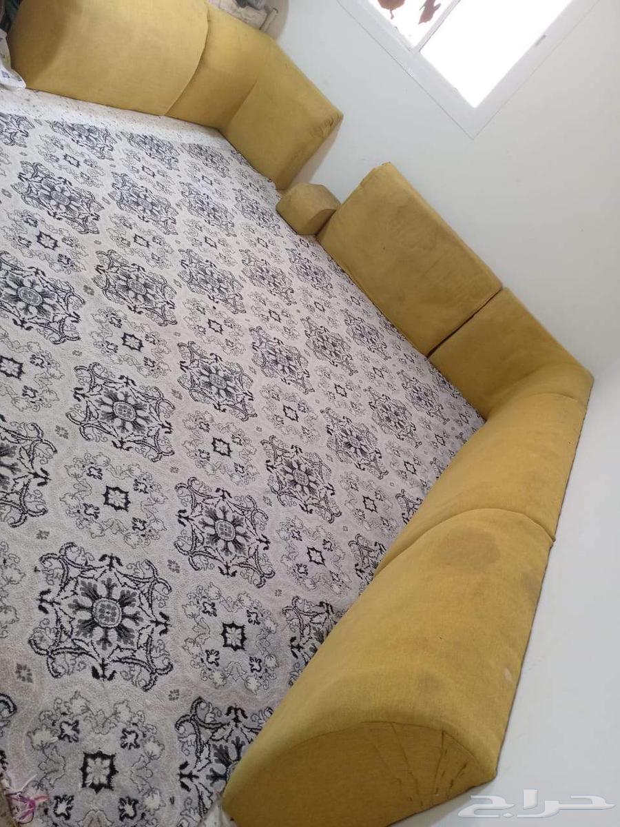 كنبات للبيع كله ب40064412869969921113