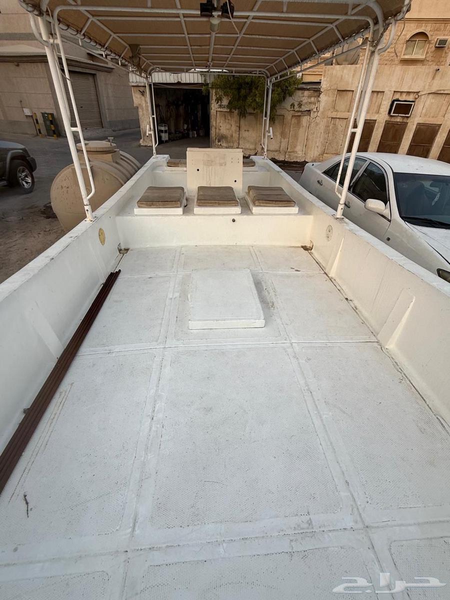 جرم النورس 31 قدم64417184001539114