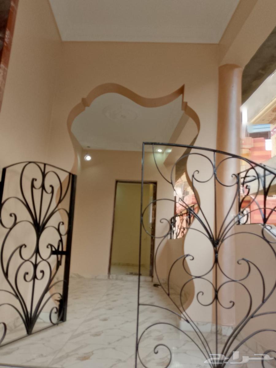 صباغ مصري لأعمال الصيانة وترميم المنازل عزل الاسطح والخزانات64163068649729110