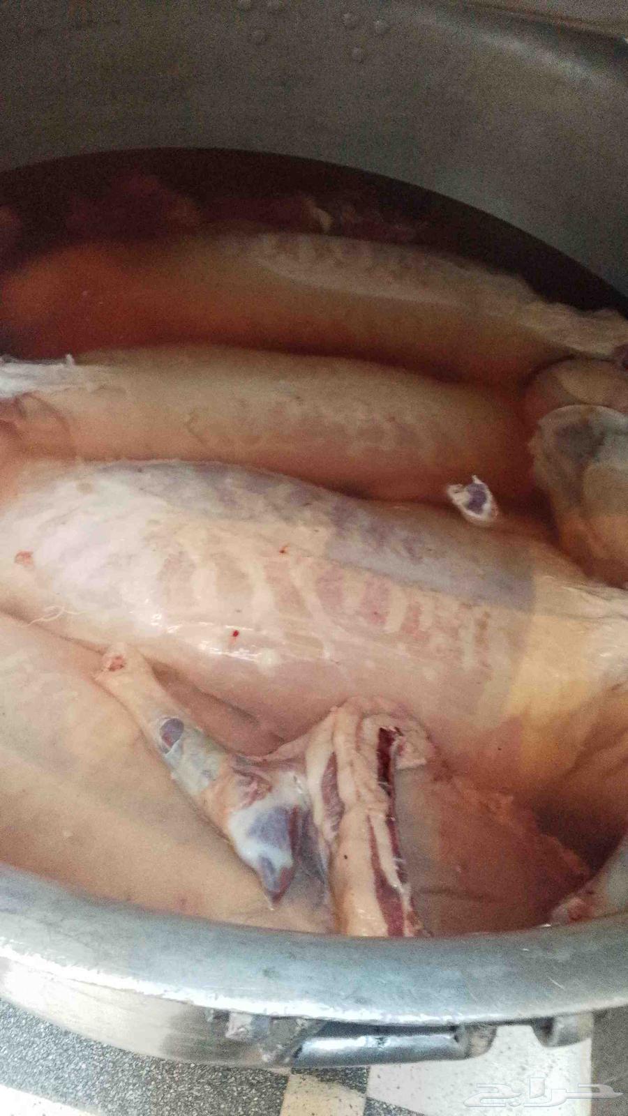 طباخ متنقل64163700203265113