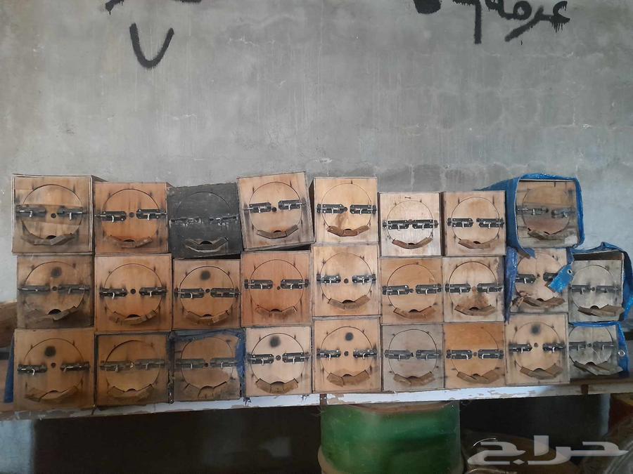 خلايا نحل فاضيه للبيع64613888182785114