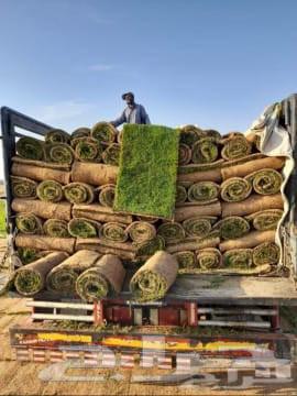 تنسيق حدائق بالرياض64163698539777114