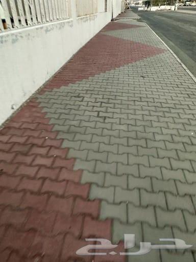 معلم انترلوك بندورة ابو حمزة64164322038275114