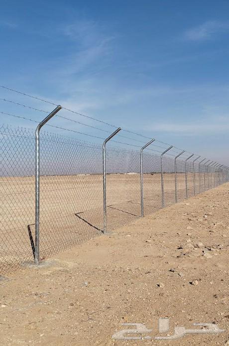 Palm planting, installation, mesh64509123906049112