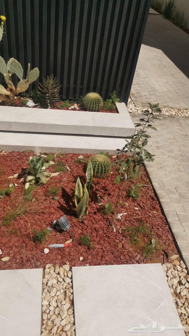 تنسيق حدائق زراعيه ابومحمد   الرياض64164111664386110