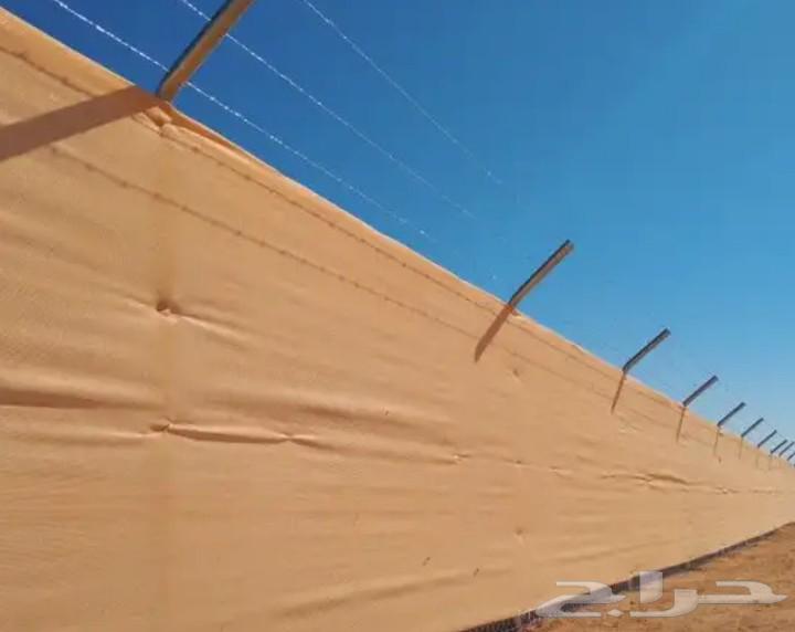 Palm planting, installation, mesh64509123906049113