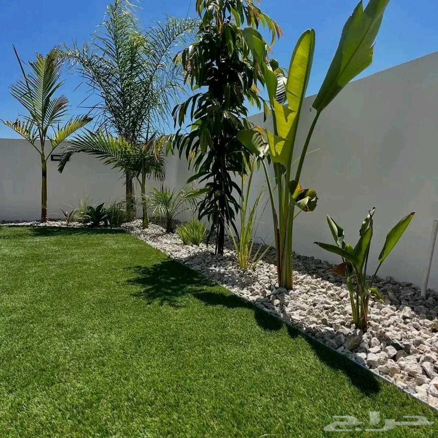 ثيل طبيعي جوده وسعر ممتاز مع التوصيل والتركيب64422273317378110