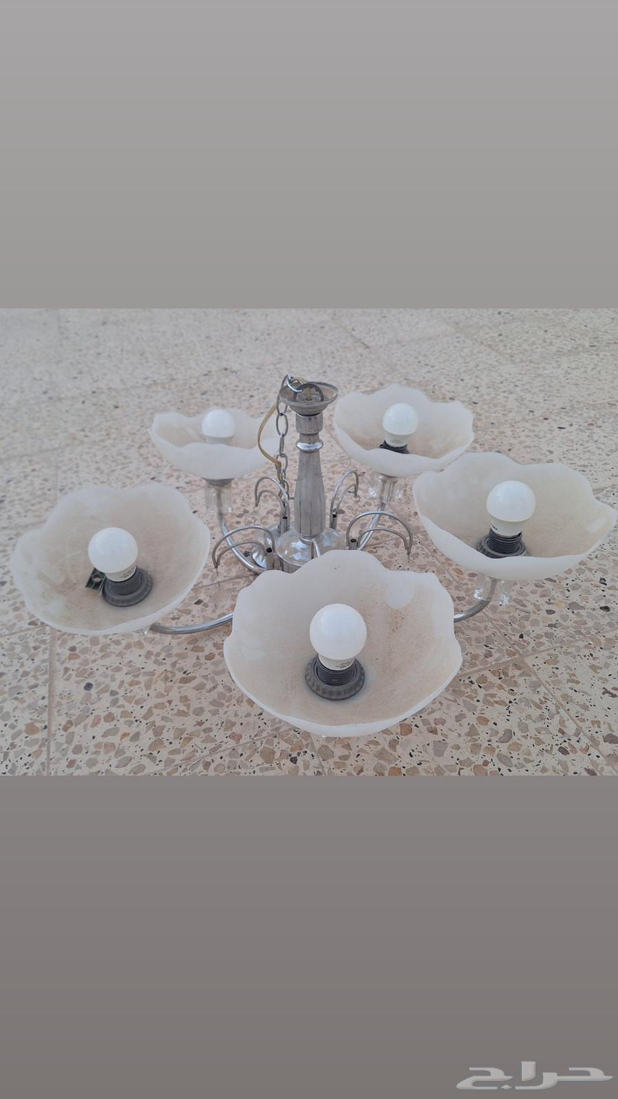 نجف - ثريا حبتين64423998153986111