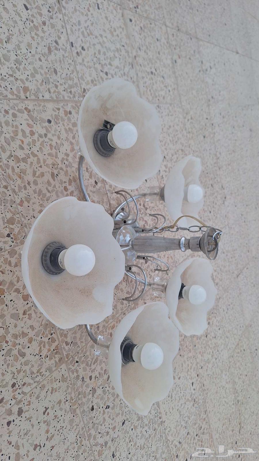 نجف - ثريا حبتين64423998153986112