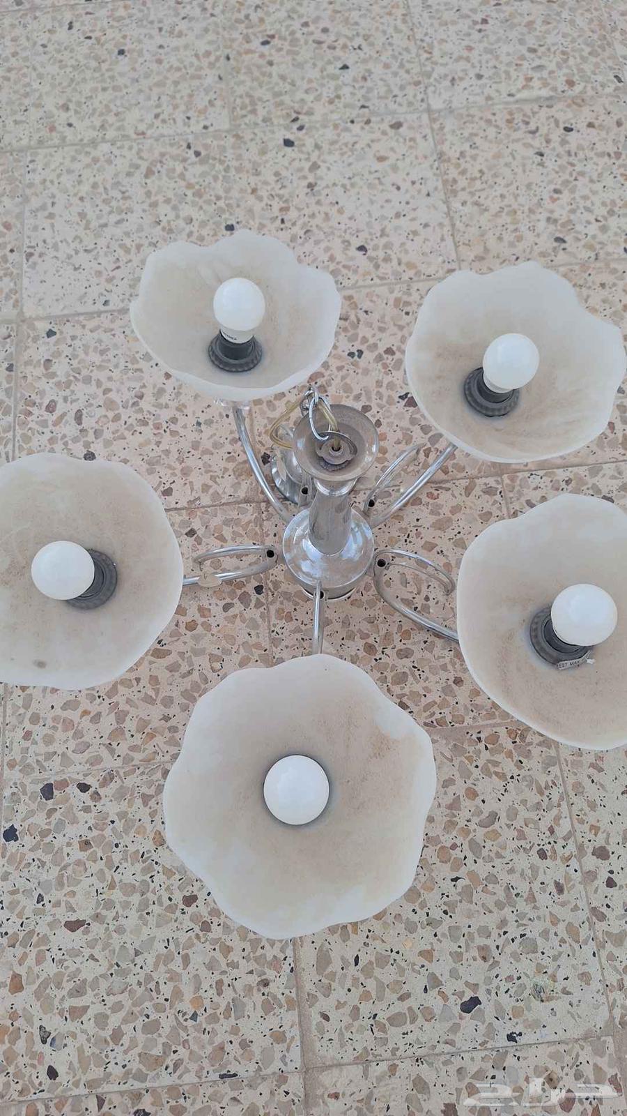 نجف - ثريا حبتين64423998153986110