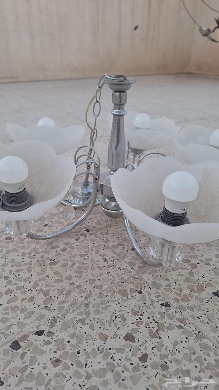 نجف - ثريا حبتين64423998153986113