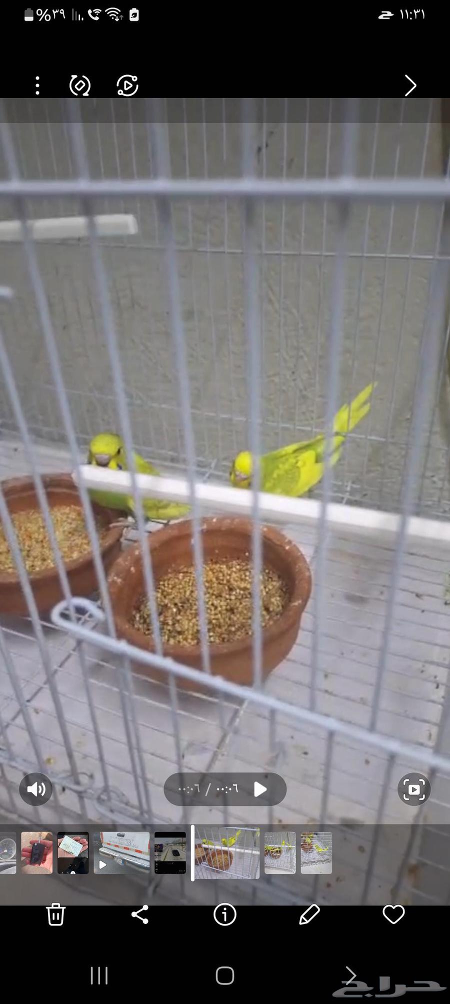 انباعت كلها64425811049985113