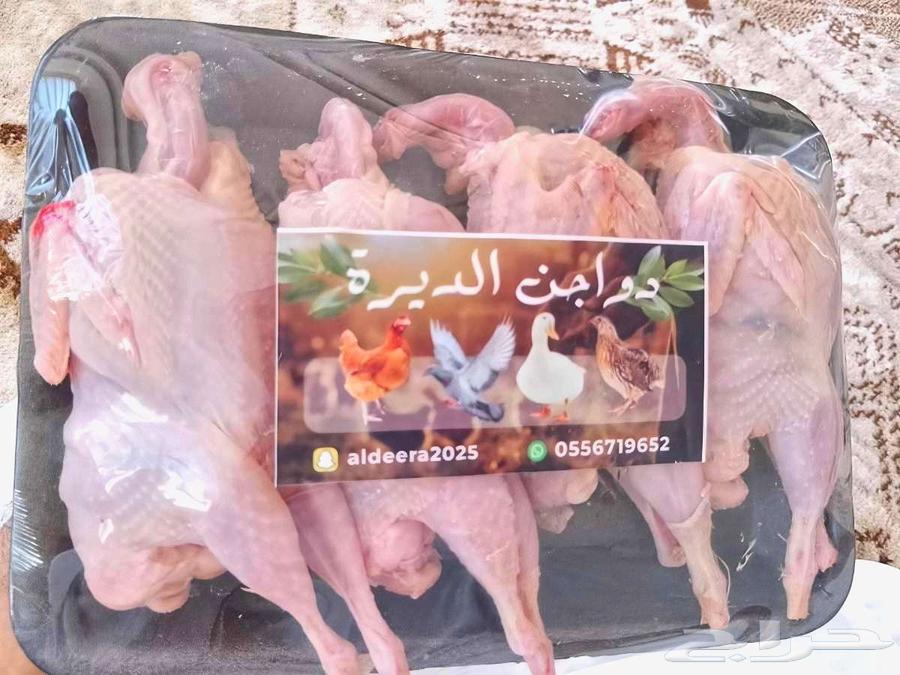 سمان طازج للبيع64421987708290110