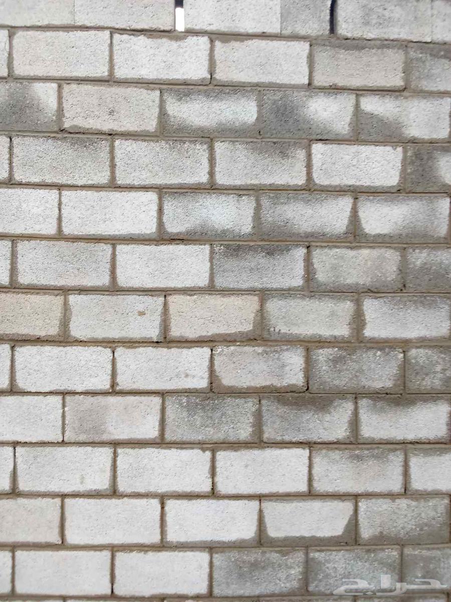 السلام عليكم ورحمه الله وبركاته64423998099202112