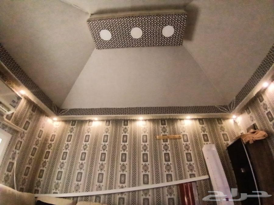 خيمه ملكي مقاس 4 3 متر64421540362113110