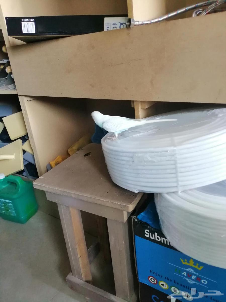 بيع الحراج مرحبا64423448804609112