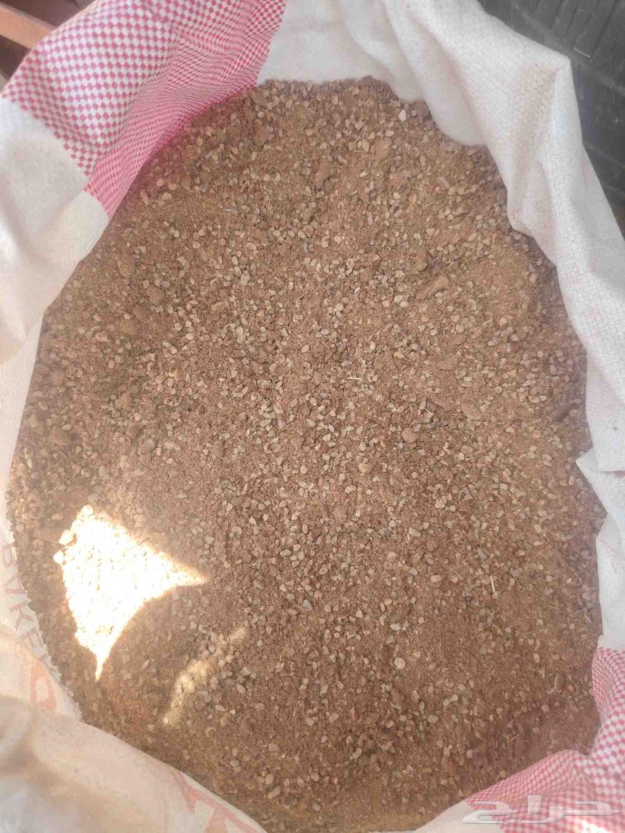 يوجد نوا ناعم ومجروش المدينة الطن 87564421661994627110