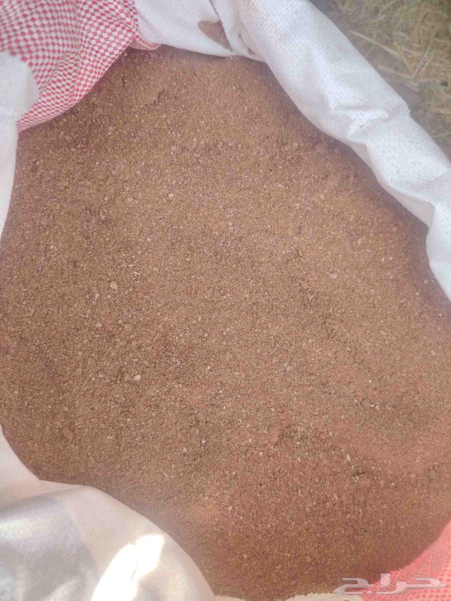 يوجد نوا ناعم ومجروش المدينة الطن 87564421661994627111