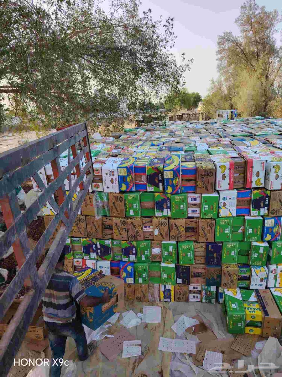 كراتين موز جديده البيع64422353790337110