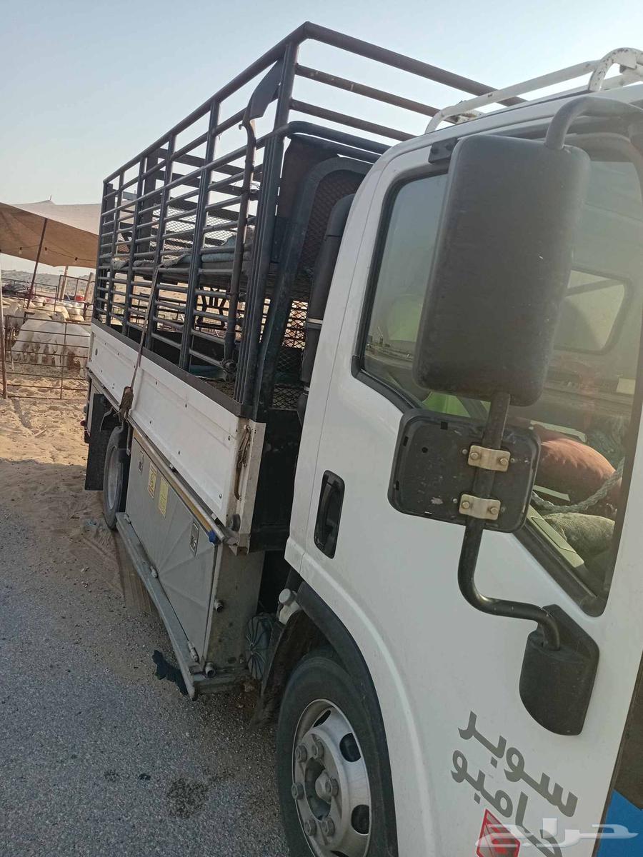 Dina two-story sheep transport64142606968323110