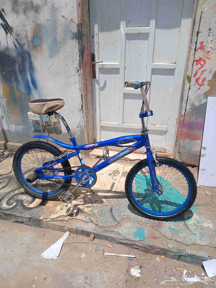 Cobra bicycle64420891821826110