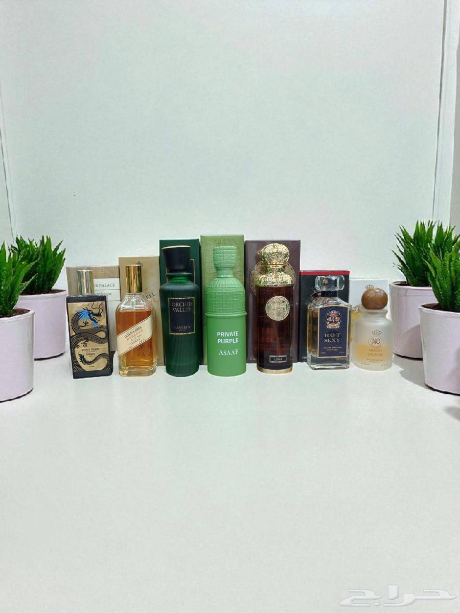 عروض اليوم الوطني64423810963714110