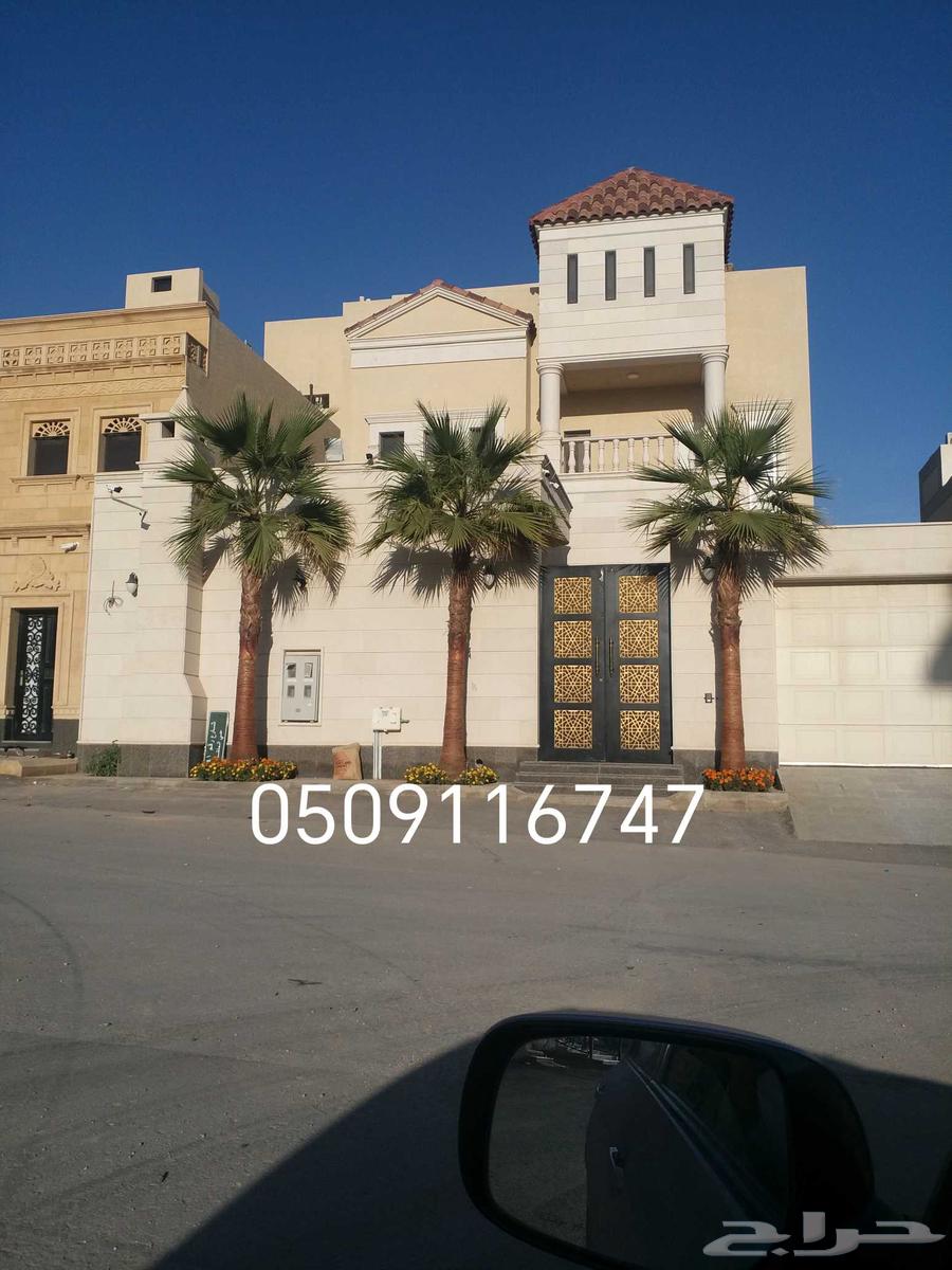 نخل واشنطوني64425623647105110