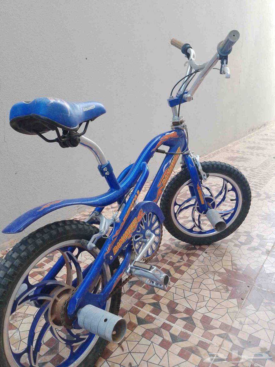 سيكلين للبيع كوبرا وبناتي64423260762369112