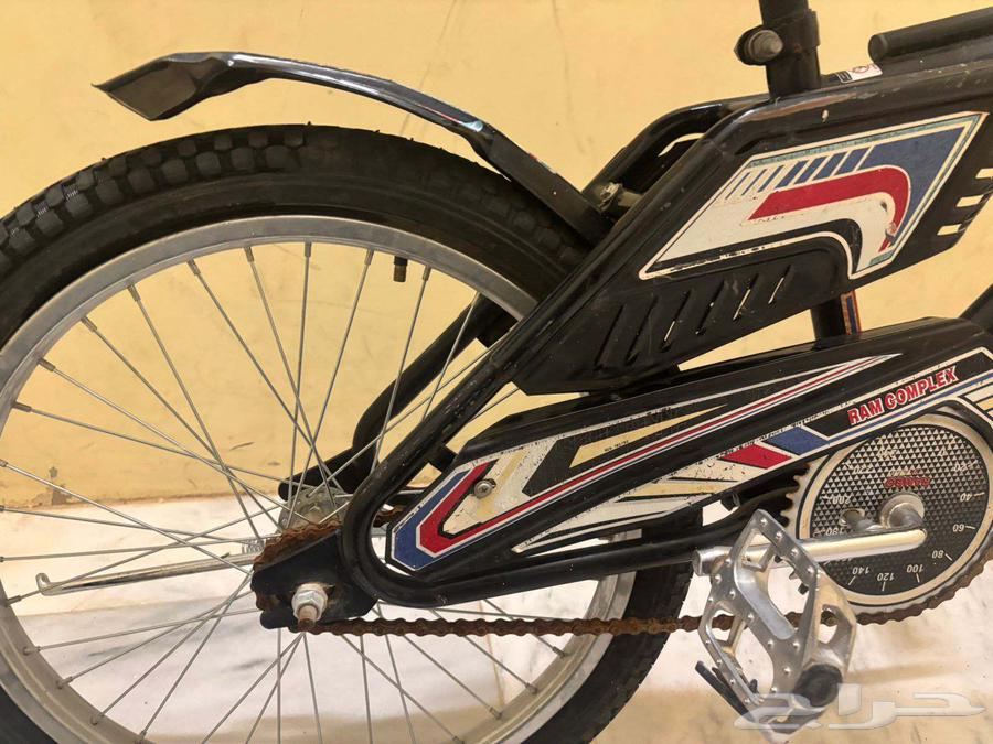 سيكل رامبو جديد64421716314881111