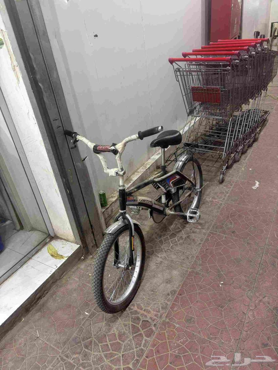 Rambouillet Andalusian bicycle for sale because I no longer use it much64423689904642112