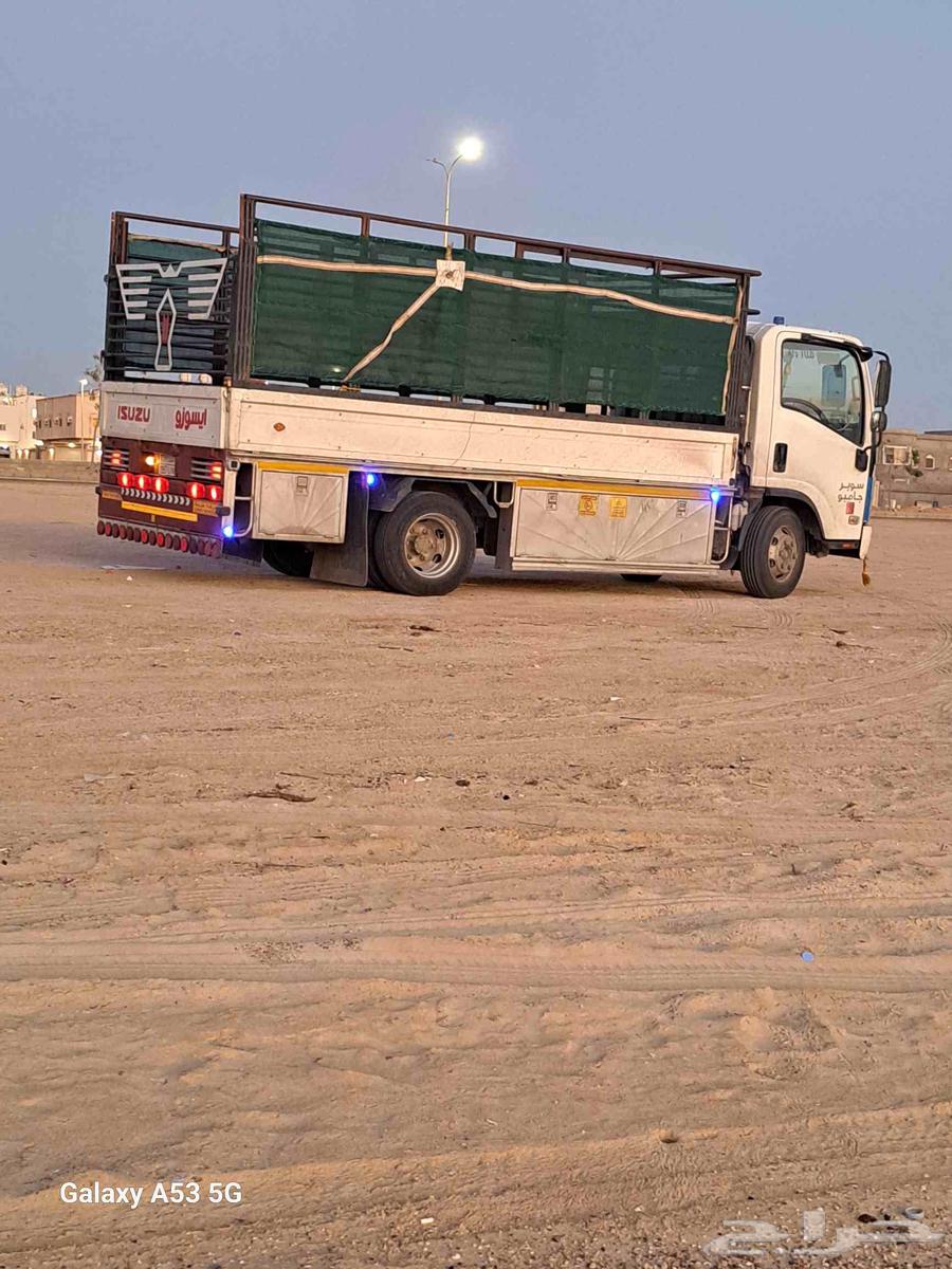 دنا طابقين نقل غنم64142606977154110
