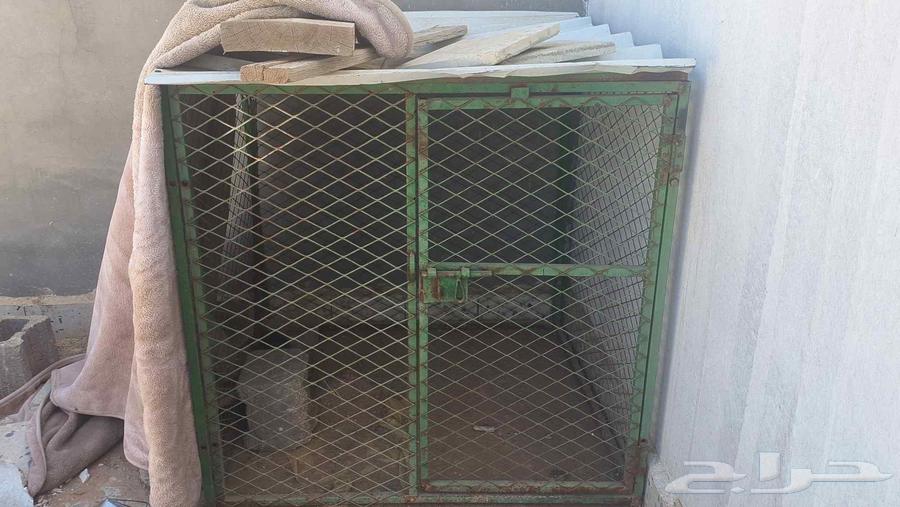 Chicken net for sale64422489400451110