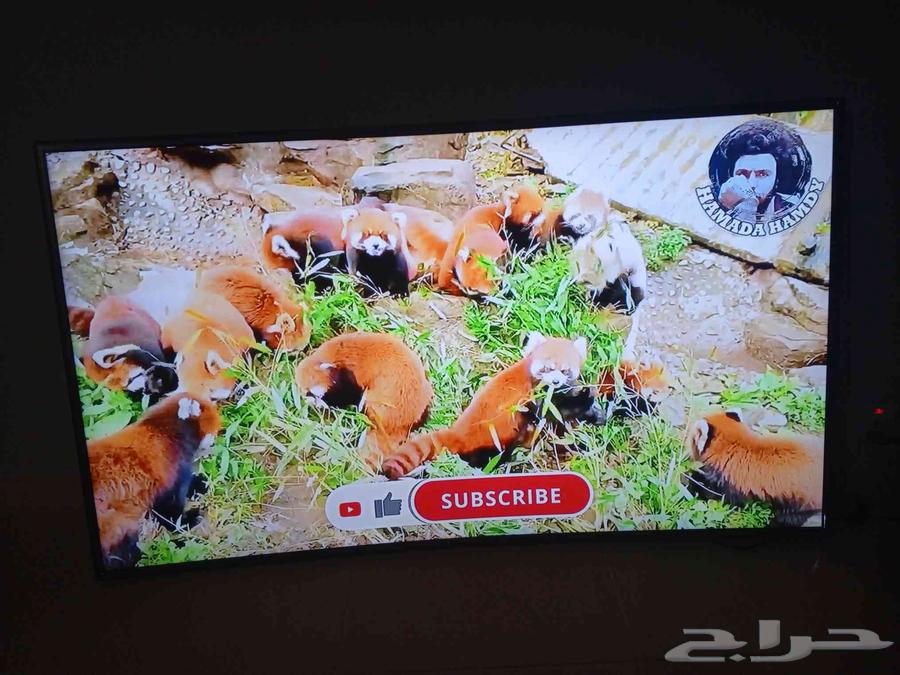 شاشة سامسونج سمارت كيرف للبيع64421472119937111