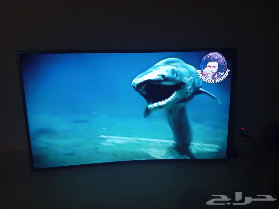 شاشة سامسونج سمارت كيرف للبيع64421472119937110